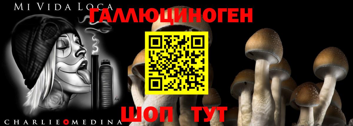 Галлюциногенные грибы мицелий  что такое наркотик  Солнечногорск  Вход с VPN 